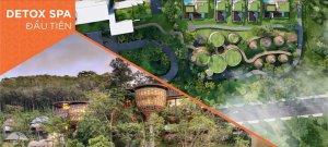 detox spa dau tien hyatt regency ho tram residences